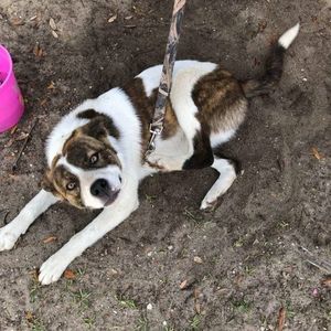 Meet your Posher, Miriam